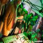 20160602_21-39-29_IMG_8887